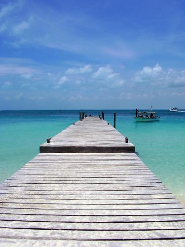 Fotograf&iacute;as mas votadas &raquo; Autor: IRQ - Galer&iacute;a: Viva M�xico! - Fotograf&iacute;a: Pasarela