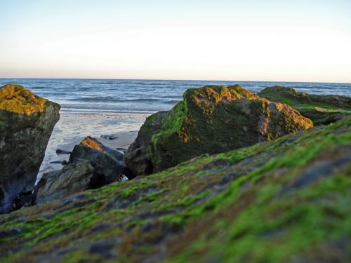 Fotografías mas votadas » Autor: kontxa - Galería: Matalascaas 2007 - Fotografía: Con vistas al mar.