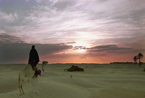 Fotos mas valoradas » Foto de Miguel y sus fotografas - Galería: Fotografa Total - Fotografía: Tuareg