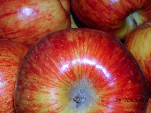 Fotografías mas votadas » Autor: nando - Galería: La grandeza de lo cotidiano - Fotografía: MANZANAS