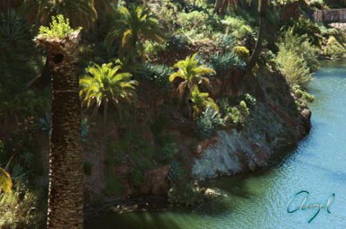 Fotos mas valoradas » Foto de gelostone - Galería: PAISAJES - Fotografía: PALMERA SIN PALMA