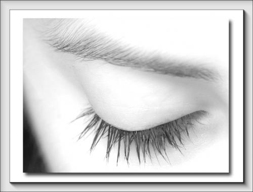 Fotos mas valoradas » Foto de JAVIER MALISAN - Galería: Estudio 01 - Fotografía: 