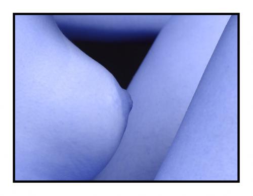 Fotos mas valoradas » Foto de JAVIER MALISAN - Galería: Estudio 01 - Fotografía: 