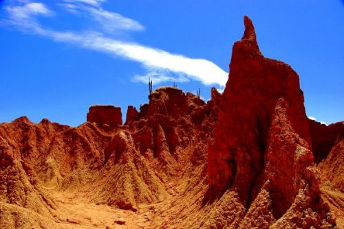 Fotografías menos votadas » Autor: FOTOSNTESIS FOTOTALLERES - Galería: FOTOSNTESIS FOTOTALLERES - COLOMBIA - Fotografía: 