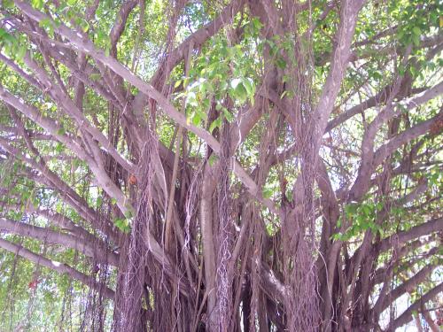 Fotos menos valoradas &raquo; Foto de de peso - Galer&iacute;a: naturaleza y varios mas - Fotograf&iacute;a: naturaleza viva