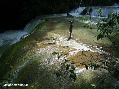 Fotos menos valoradas » Foto de javi mc - Galería: Jamaica no problem! - Fotografía: Y'S falls