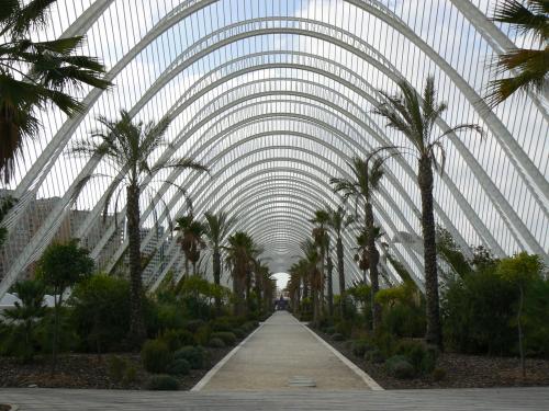 Fotos mas valoradas » Foto de Velluter - Galería: Ensayos II - Fotografía: Umbraculo