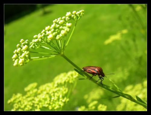 Fotos mas valoradas » Foto de Raul - Galería: Naturaleza Interior - Fotografía: descenso