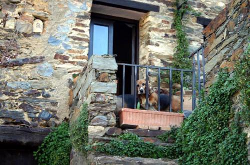 Fotos mas valoradas » Foto de Josema - Galería: Pinceladas - Fotografía: Asomado