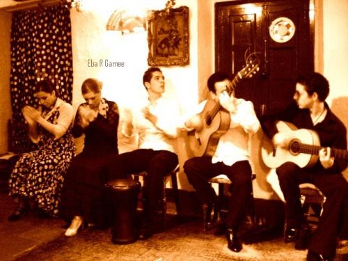 Fotos mas valoradas » Foto de Eba RGamee - Galería: Arte Hondo - Fotografía: Kuadro flamenko