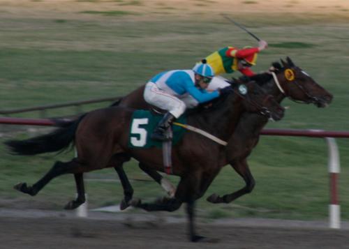 Fotos menos valoradas » Foto de eddie - Galería: hipica - Fotografía: 