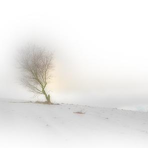 Fotografías mas votadas » Autor: Jovi Estudios Fotograficos - Galería: Paisajes - Fotografía: Neu