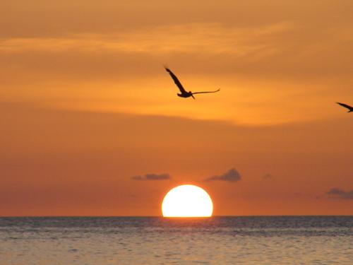 Fotos mas valoradas » Foto de Ruben Dario - Galería: Paisajes - Fotografía: Tarde que te apaga