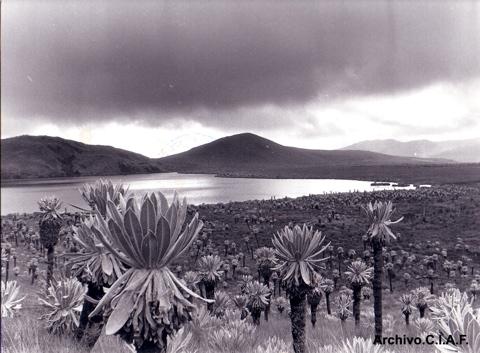 Fotos mas valoradas » Foto de Centro de la Imagen de la Alianza Francesa - Galería: Paisajes - Fotografía: 9