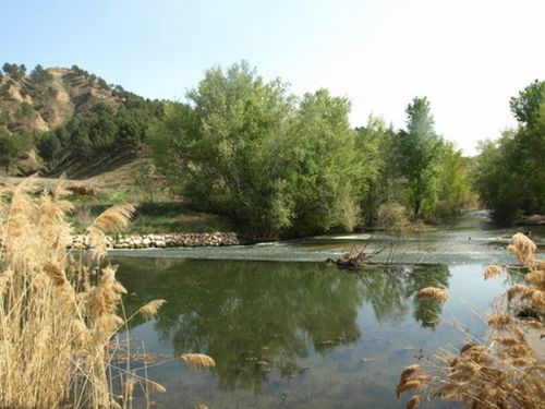 Fotos mas valoradas » Foto de Chano Maiques - Galería: ALCAL DE HENARES (MADRID) - Fotografía: 