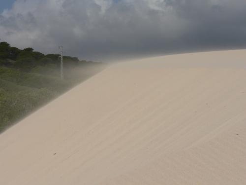 Fotos menos valoradas » Foto de Juan A. Ortiz - Galería: Paisajes de Tarifa - Fotografía: duna