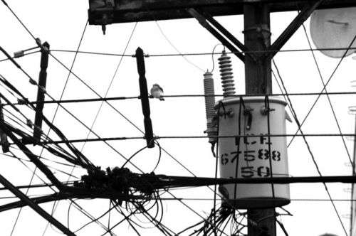 Fotos menos valoradas » Foto de Rubn Martn - Galería: Imgenes textuales. - Fotografía: Sinapsis.