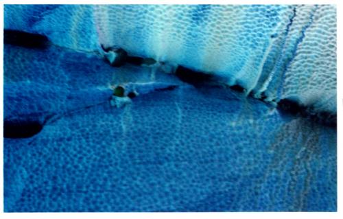 Fotos menos valoradas » Foto de Nada que Hablar - Galería: Nada que hablar - Fotografía: 