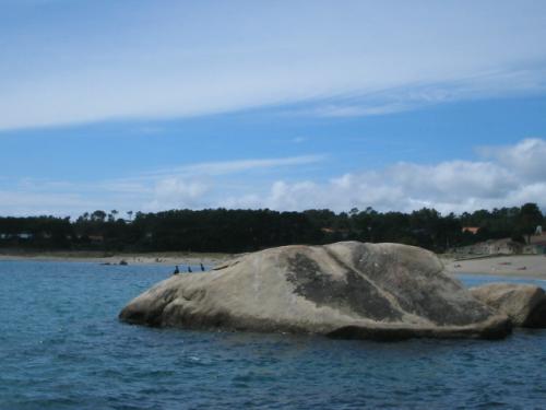 Fotos menos valoradas » Foto de ALFREDO - Galería: FREDY.....MARBELLA - Fotografía: CORMORANES INFRAGA