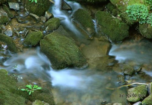 Fotos menos valoradas » Foto de nando - Galería: paisajes idilicos - Fotografía: arroyo