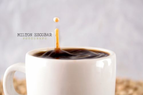 Fotografías menos votadas » Autor: milton escobar - Galería: SAabores - Fotografía: 