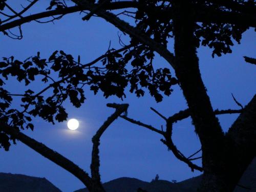 Fotos mas valoradas » Foto de Camilo - Galería: Naturaleza - Fotografía: 