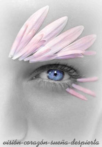 Fotos menos valoradas » Foto de diseny F&G - Galería: creacion  y diseo - Fotografía: 