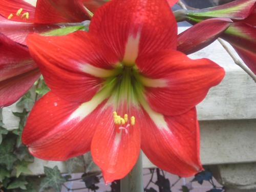 Fotos menos valoradas &raquo; Foto de OSCARPIETRO - Galer&iacute;a: Naturaleza - Fotograf&iacute;a: Brazos Abiertos