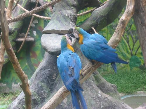 Fotos mas valoradas » Foto de OSCARPIETRO - Galería: Naturaleza - Fotografía: Amor Atrapado