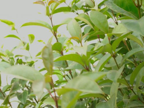 Fotos menos valoradas &raquo; Foto de MgL - Galer&iacute;a: Varios - Fotograf&iacute;a: 