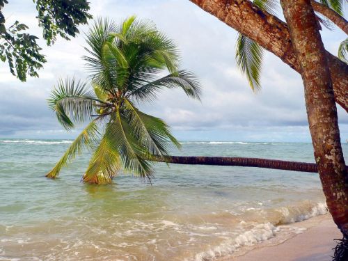 Fotos mas valoradas » Foto de Osvaldo Urriola - Galería: Playas Panam - Fotografía: 