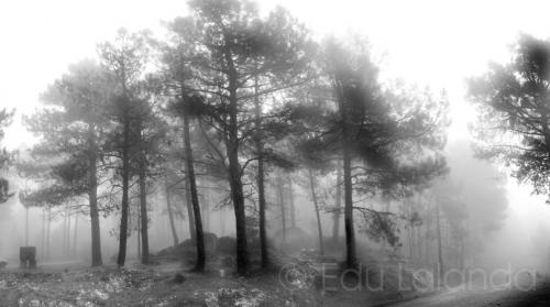 Fotos mas valoradas » Foto de Edu Lalanda - Galería: Paisaje - Fotografía: Bastogne