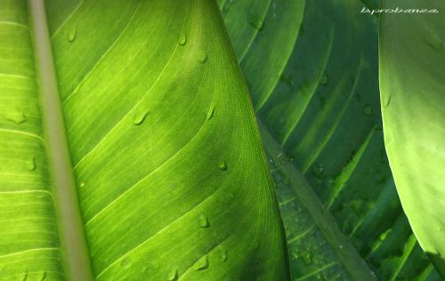 Fotos mas valoradas » Foto de Benjamin Probanza - Galería: SUEOS II - Fotografía: Composicin en Ver