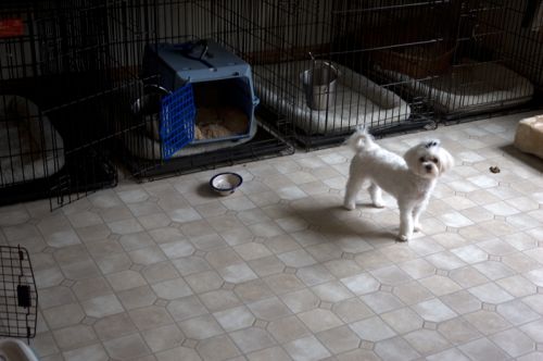 Fotos mas valoradas &raquo; Foto de David Bru - Galer&iacute;a: Moose River - Fotograf&iacute;a: 