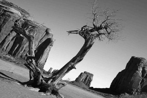 Fotos menos valoradas » Foto de A  A  Axalom - Galería: D70  Blanc y Negre - Fotografía: 