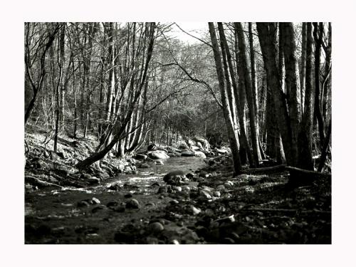 Fotos mas valoradas » Foto de Imagen Dirk Borms - Galería: Extremadura Verde - Fotografía: Pedro Chate