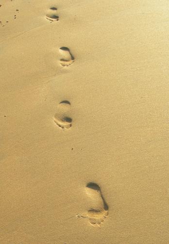 Fotos mas valoradas » Foto de Tebar - Galería: Las cosas de mi tierra - Fotografía: Mis Huellas