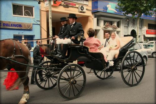 Fotografías menos votadas » Autor: Javier Pea - Galería: BODAS - Fotografía: 