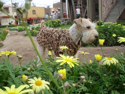 Fotos menos valoradas » Foto de Astrid.er - Galería: Nature - Fotografía: Quien no cae en e