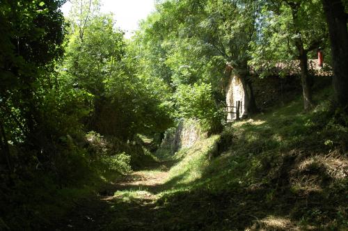Fotos mas valoradas » Foto de JORGE SALAS - Galería: NATURALEZA Y VIDA - Fotografía: LA COMARCA?