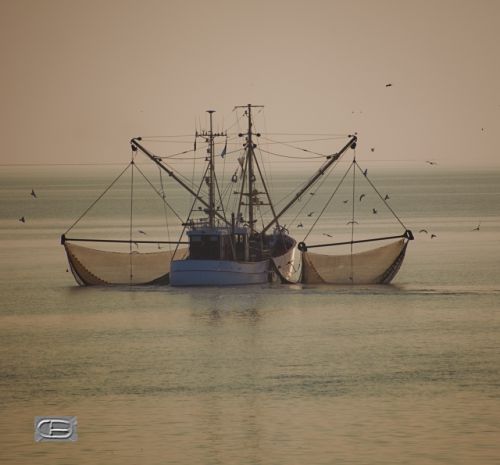 Fotografías menos votadas » Autor: CB - Galería: As we were sailing - Fotografía: Un pesquero de cra