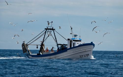 Fotografías menos votadas » Autor: CB - Galería: As we were sailing - Fotografía: Pesquero mediterr