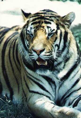 Fotos menos valoradas » Foto de Chema - Galería: Vision de la naturaleza - Fotografía: En reposo