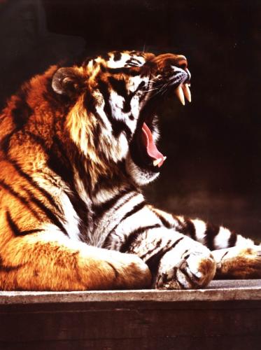 Fotos menos valoradas » Foto de Chema - Galería: Vision de la naturaleza - Fotografía: Su perfil