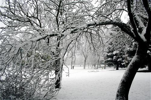 Fotografías mas votadas » Autor: jose daniel - Galería: mi seleccin - Fotografía: 