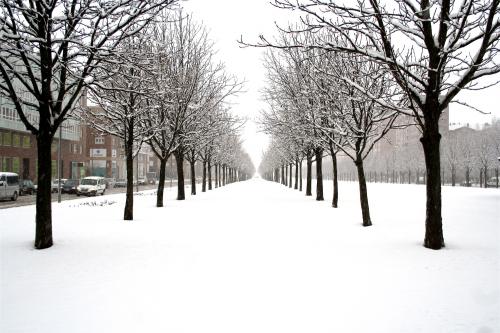 Fotos mas valoradas » Foto de jose daniel - Galería: mi seleccin - Fotografía: 