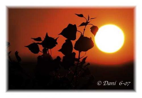 Fotografías mas votadas » Autor: jose daniel - Galería: mi seleccin - Fotografía: 