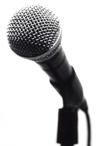 Fotos menos valoradas » Foto de Ruth - Galería: VARIOS - Fotografía: Micro