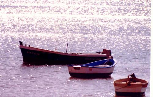 Fotos menos valoradas » Foto de MARIA REQUENA - Galería: Cadiz - Fotografía: Barcas