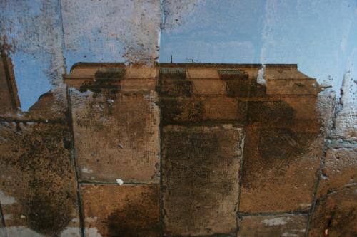 Fotografías mas votadas » Autor: Manel Puigcerver - Galería: Miscelnea - Fotografía: Reflejos de la ant